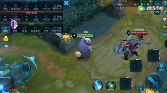 王者荣耀猫猫爆料视频,萌态可掬,技能全面解析 第3张 王者荣耀猫猫爆料视频,萌态可掬,技能全面解析 第3张